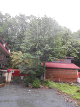 DSCN1049