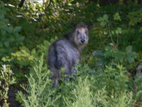 DSCN1072