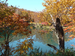 DSC07340