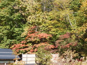 DSCN1325