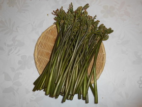 DSCN0387