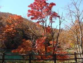 DSC07338