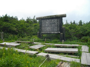 IMGP1229