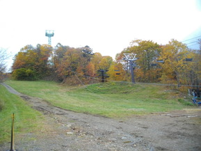 IMGP6904