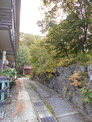DSCN1245