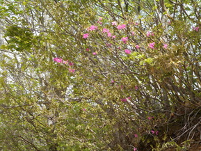 DSCN0428