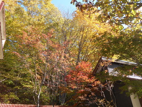 DSCN1317