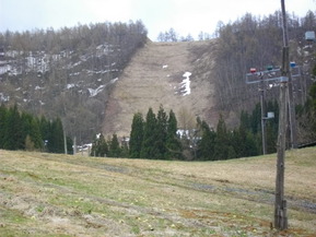 IMGP0446