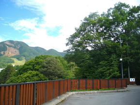 IMGP6273