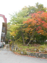 DSCN1831
