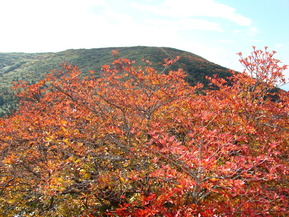 DSC07099