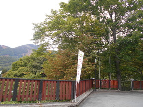 DSCN1678
