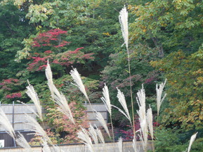 DSCN1255