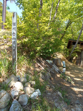 DSCN2084