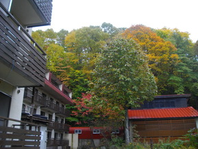IMGP6812