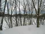 46c37887.jpg
