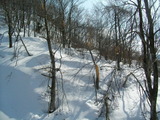 473a4874.jpg