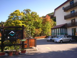 4939f852.JPG