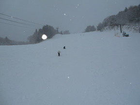 DSCN8681