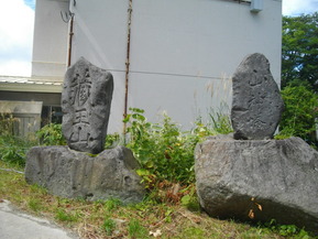 IMGP1803