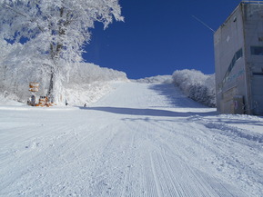 DSCN0080