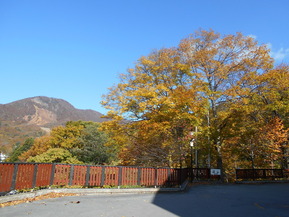 DSCN7821