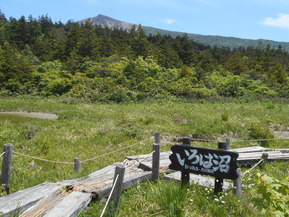 DSCN0821