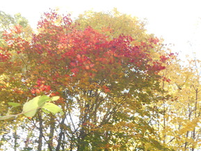 DSCN1320