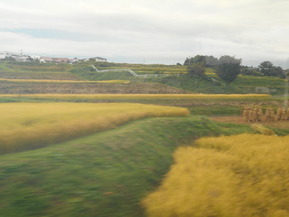 DSCN1705