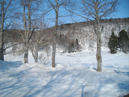 IMGP4612