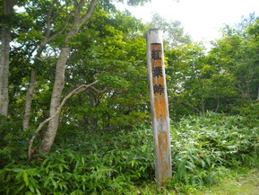 IMGP6235