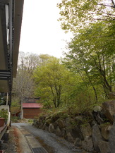 DSCN0371