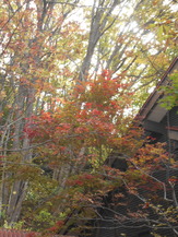 DSCN1290