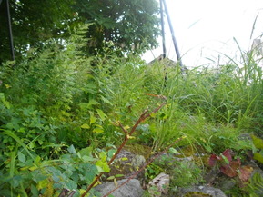 IMGP6269