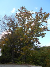 DSCN1257