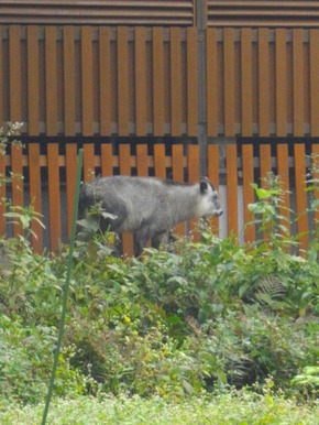 IMGP6715