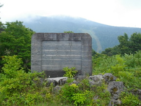IMGP6251