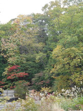 DSCN1272