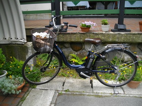 IMGP6608