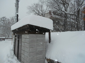 DSCN8850