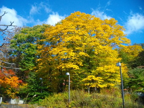 IMGP6876