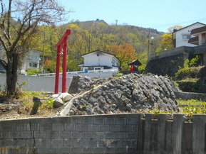 IMGP0549