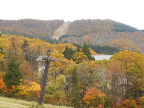 DSCN7828