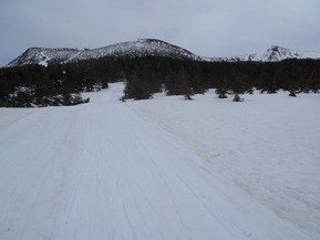 DSCN3795