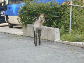 DSCN1069