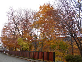 DSCN1402