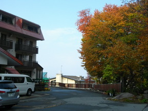 IMGP6833