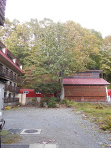 DSCN1263