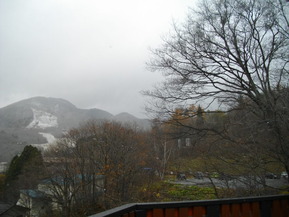 IMGP7081