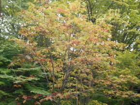 DSCN1187